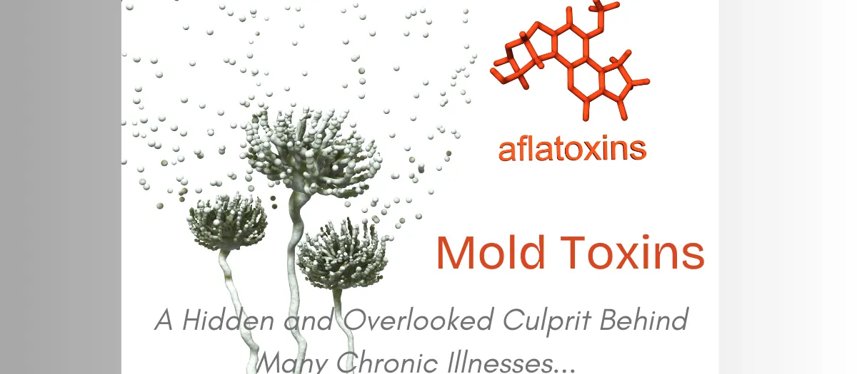 Mold Toxins