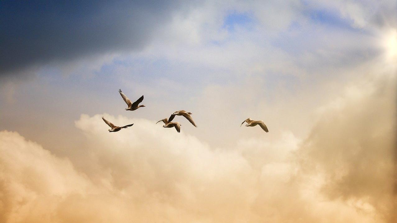 Attain Spiritual Liberation from Within