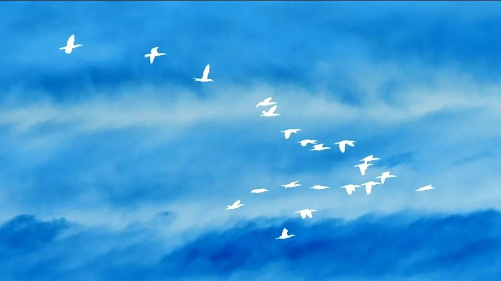 Bridging The Gap: Global & Inner Peace