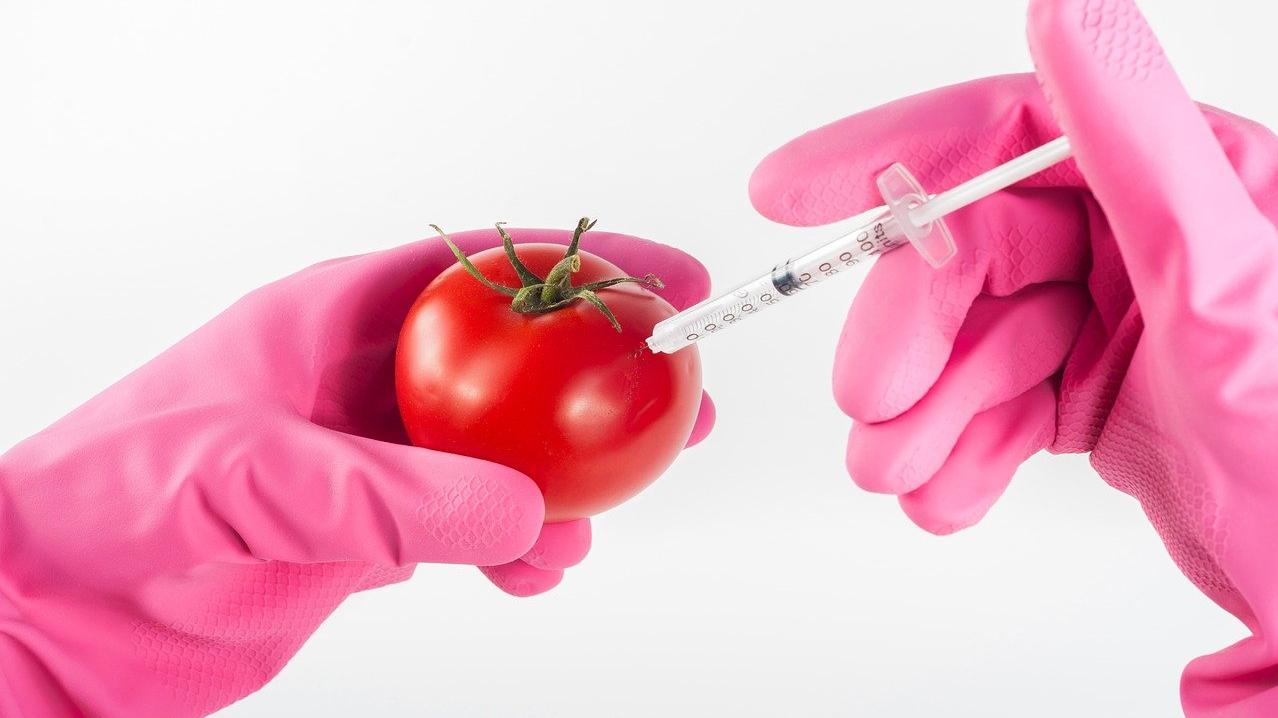 What Are GMOs and Why They are Harmful to Your Health?