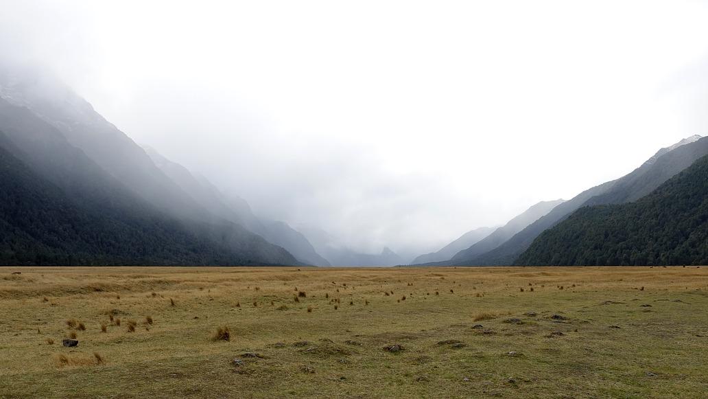 What is Integrative Healing?