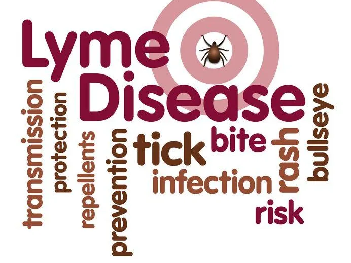 Lyme disease