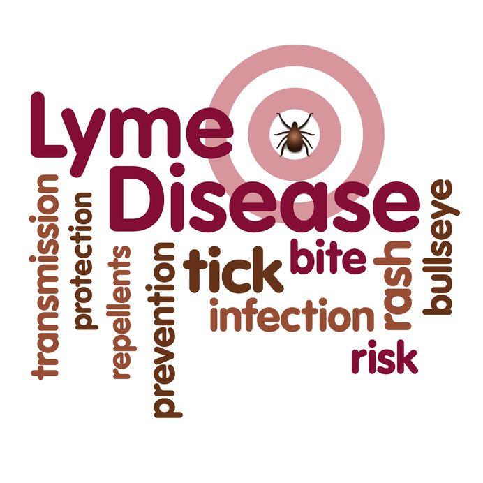 Far Infrared Therapy for Lyme Disease