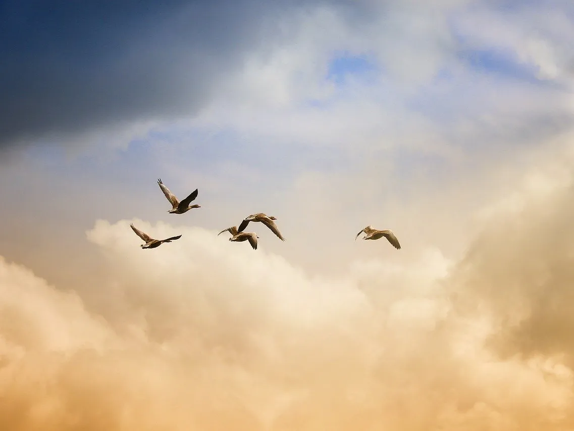 Attain Spiritual Liberation from Within