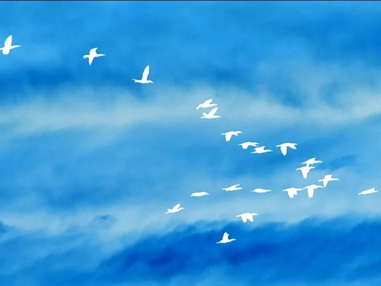 Bridging The Gap: Global & Inner Peace