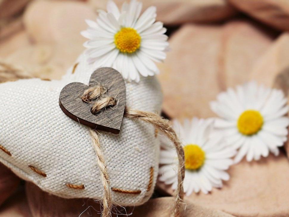 The Role of the Power of Love in Holistic Medicine and Healing