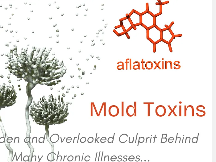 Mold
