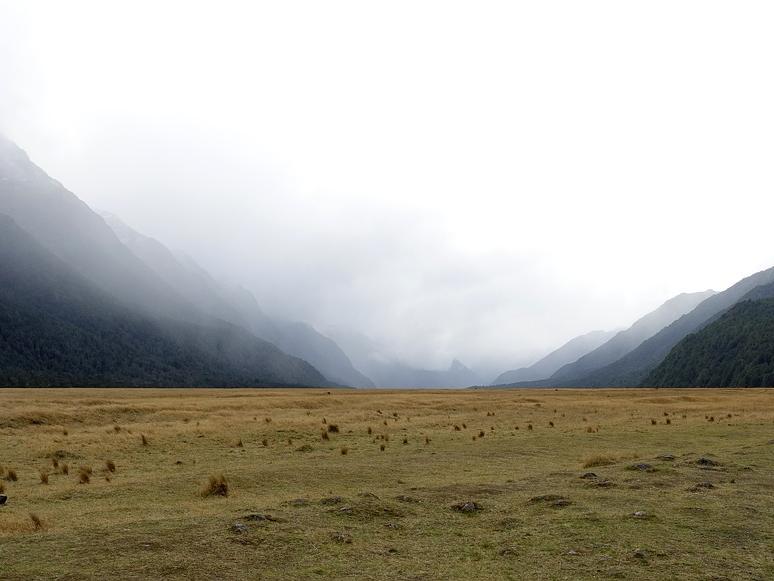 What is Integrative Healing? 