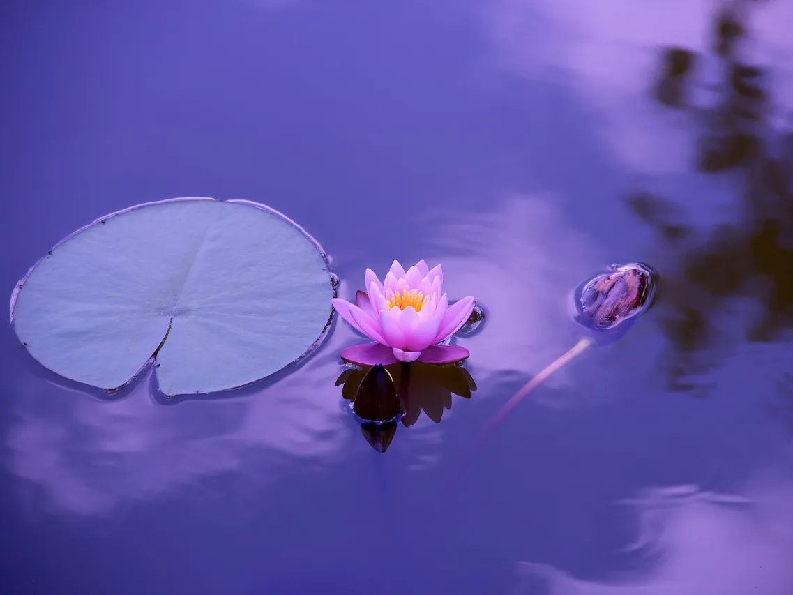 5 Truths about Healing Which may Surprise You